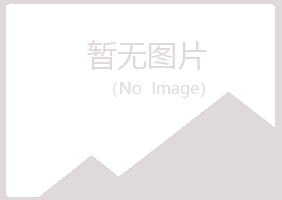 白银平川迎夏机械有限公司